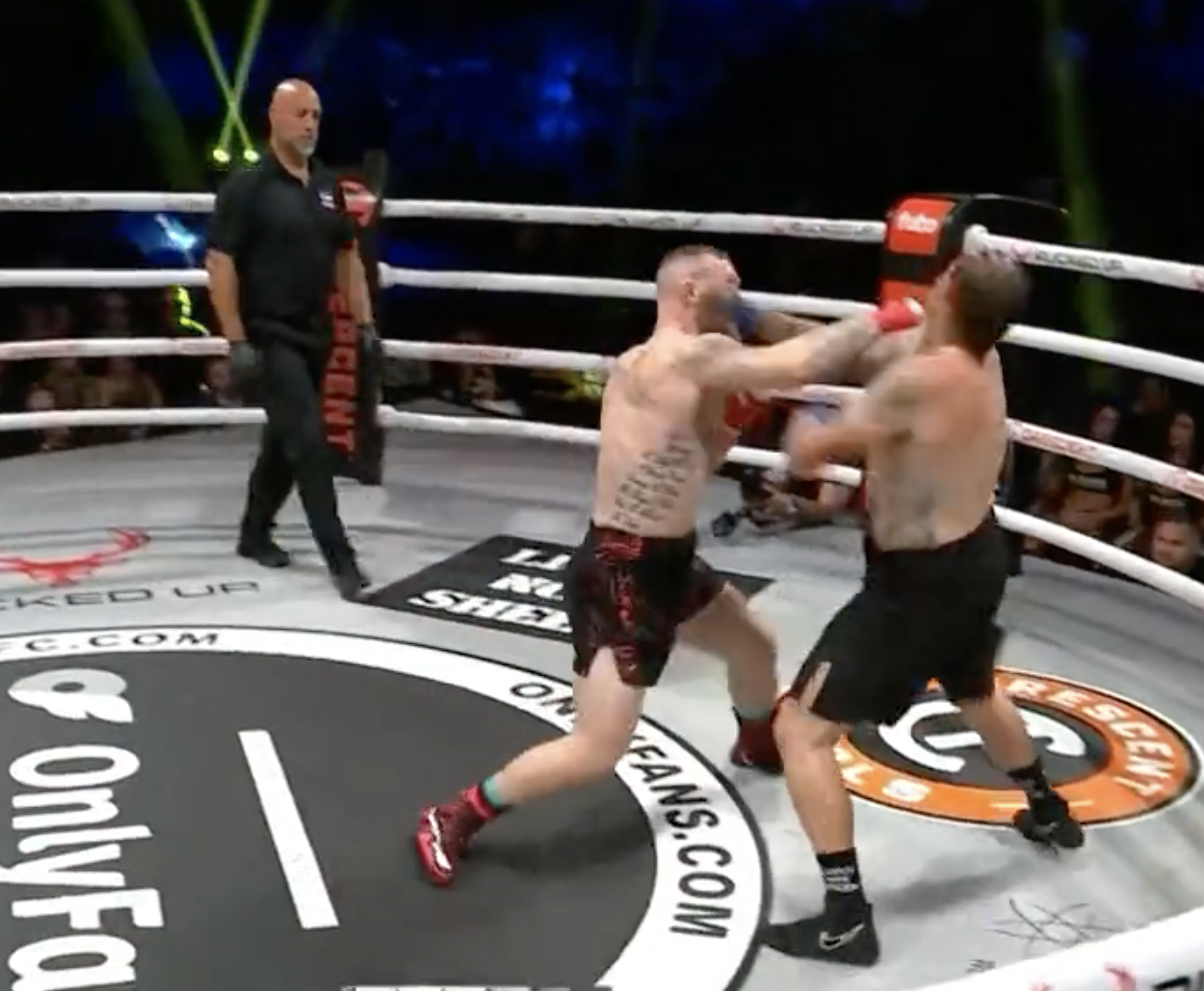 BKFC MAGA