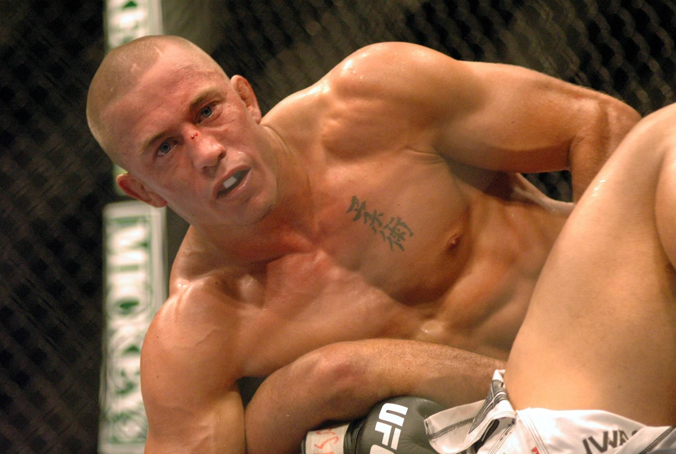 Georges St-Pierre regained the welterweight title at UFC 83
