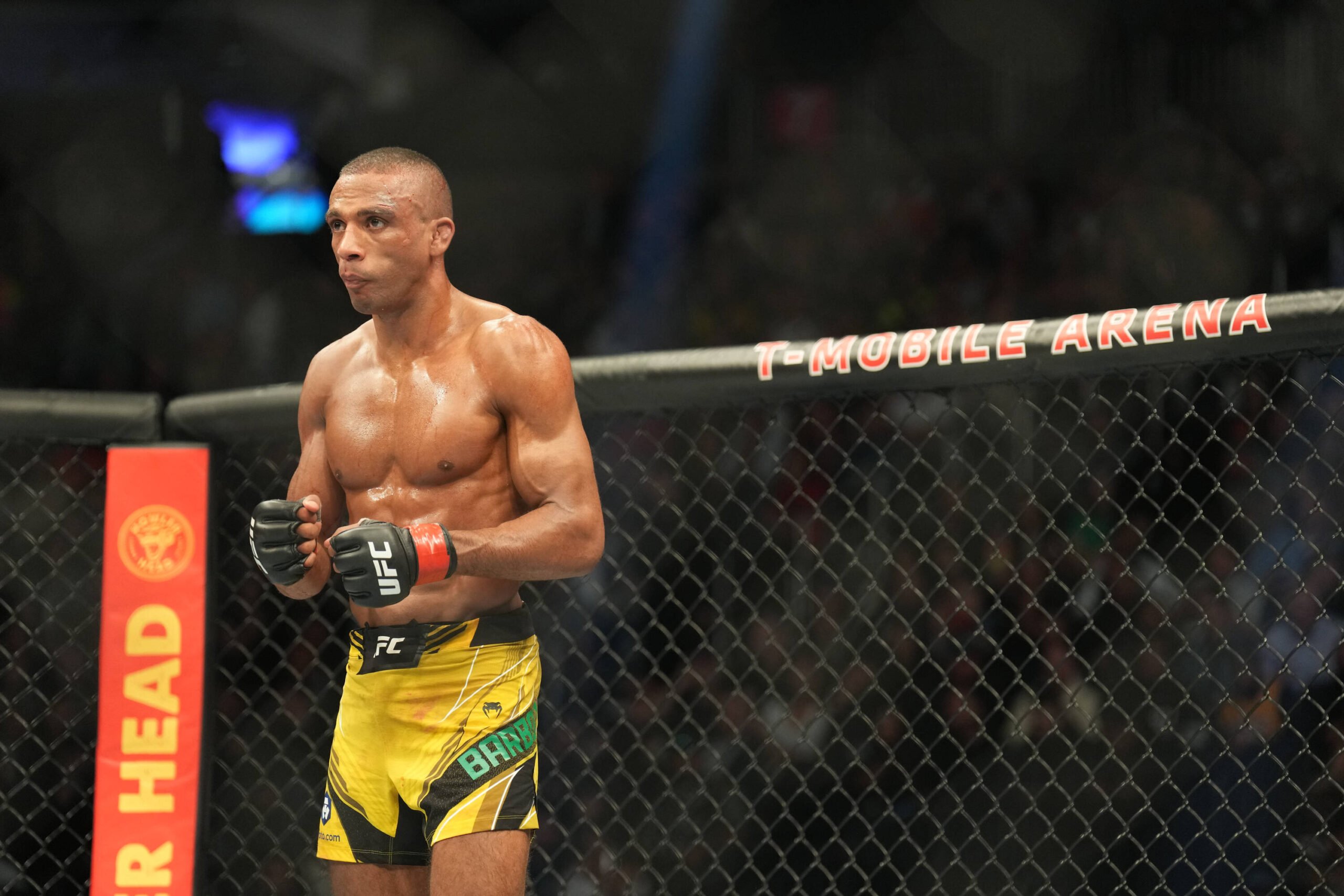 Edson Barboza won at UFC Fight Night: Holloway vs. Allen