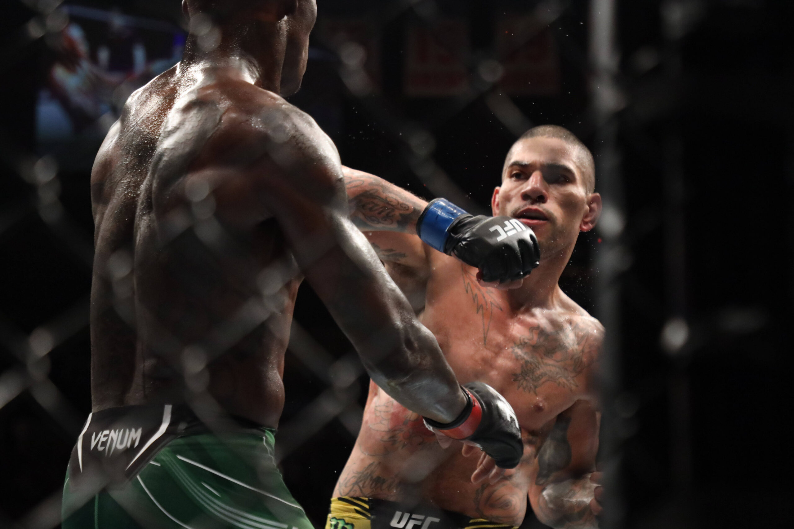 Alex Pereira when he fought Israel Adesanya at UFC 281.