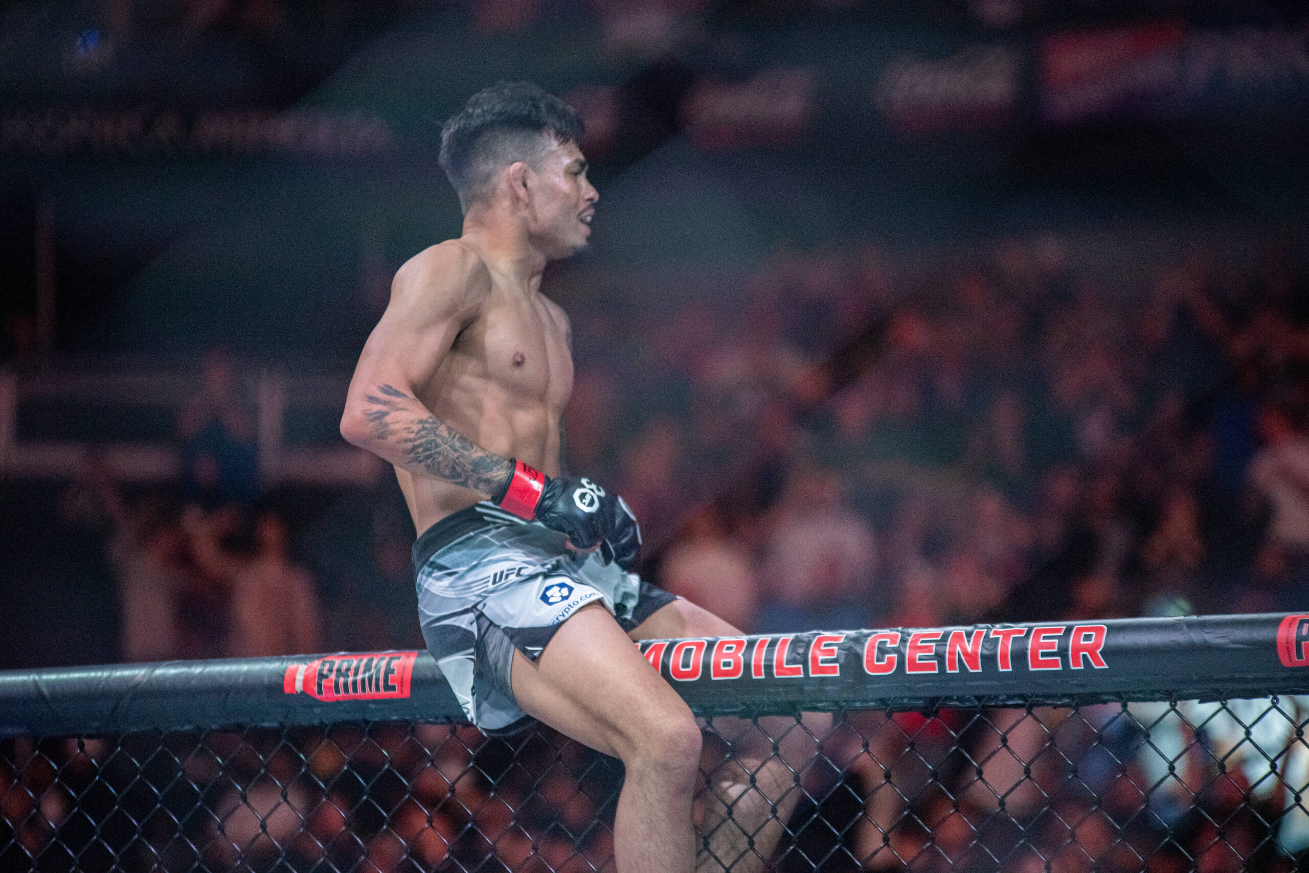 Brandon Royval won big at the UFC Fight Night: Holloway vs. Allen event.