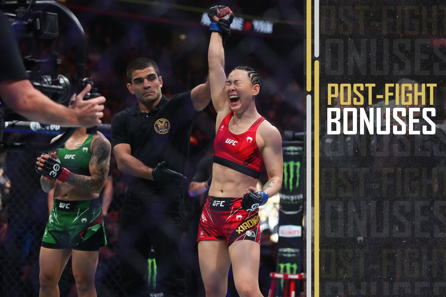 Yan Xiaonan won her UFC 288 bout against Jessica Andrade.