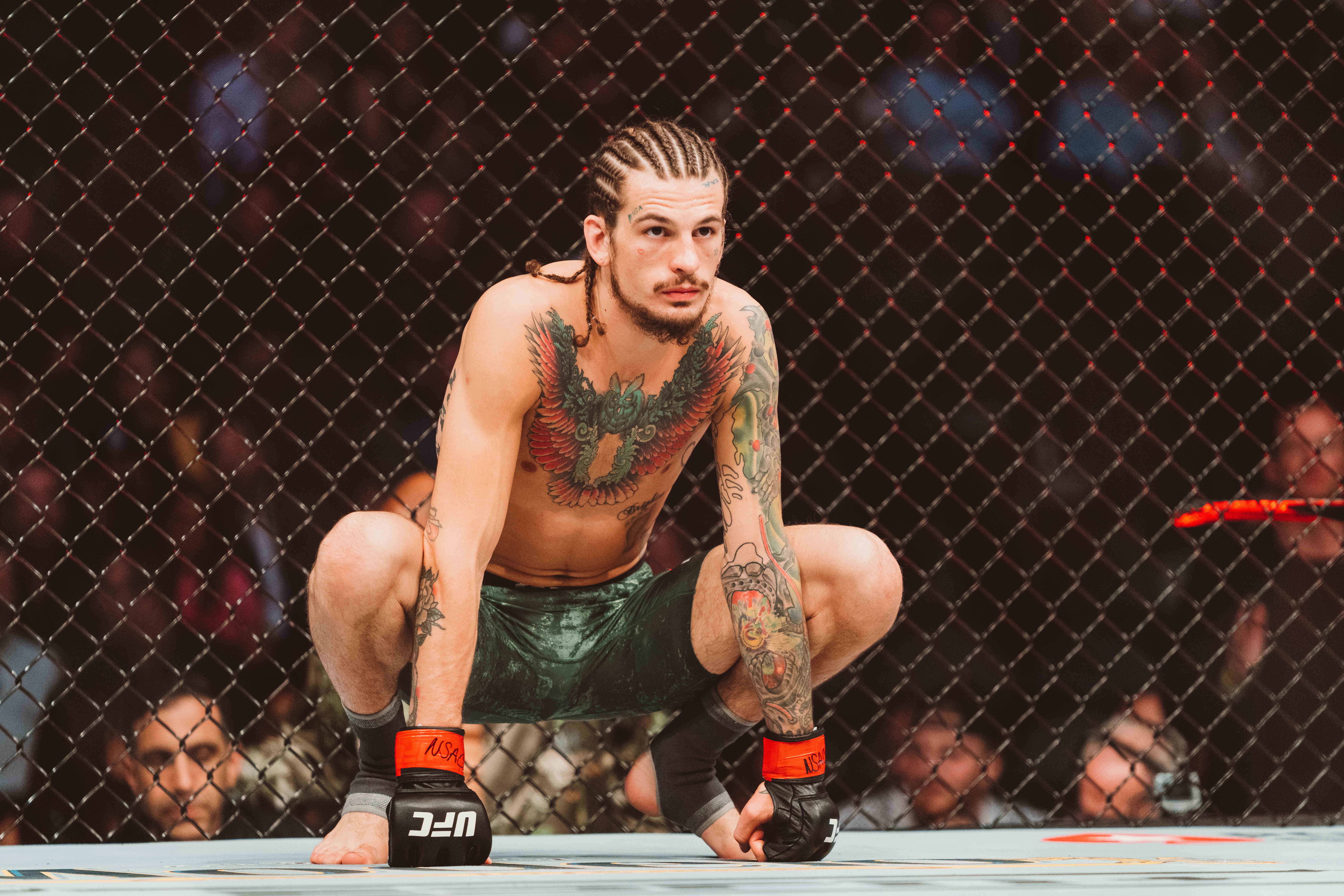 UFC 280 Sean O'Malley Petr Yan