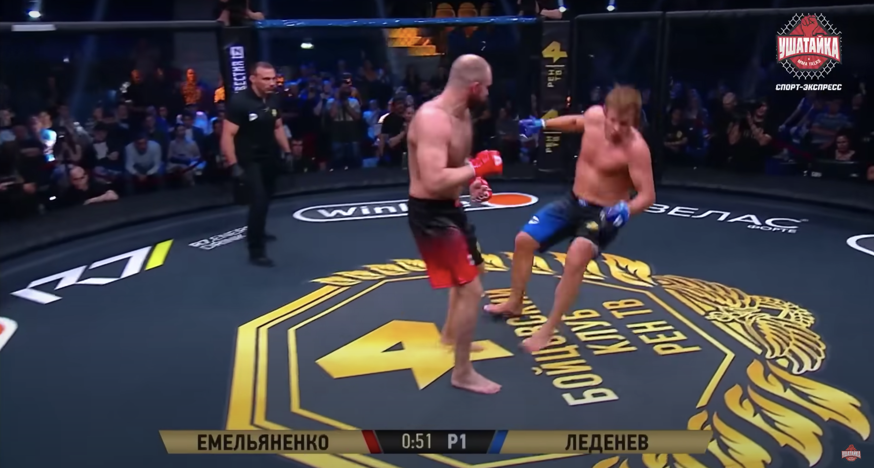 Ivan Emelianenko finally made his pro MMA debut