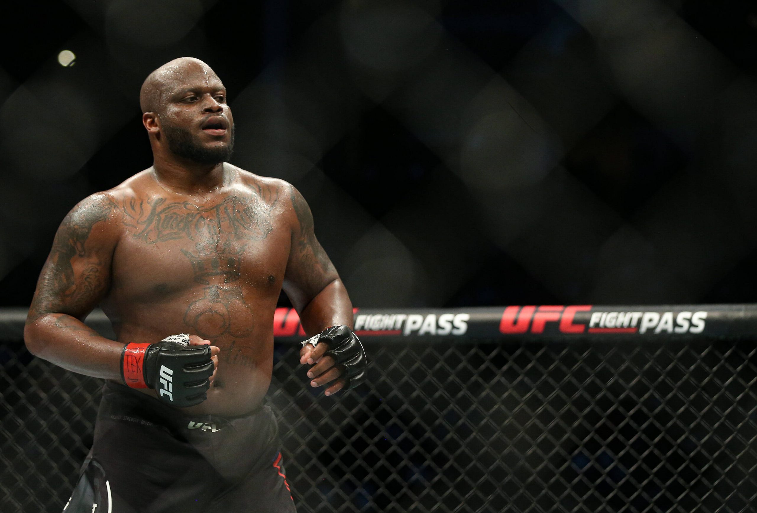 UFC 291's Derrick Lewis.