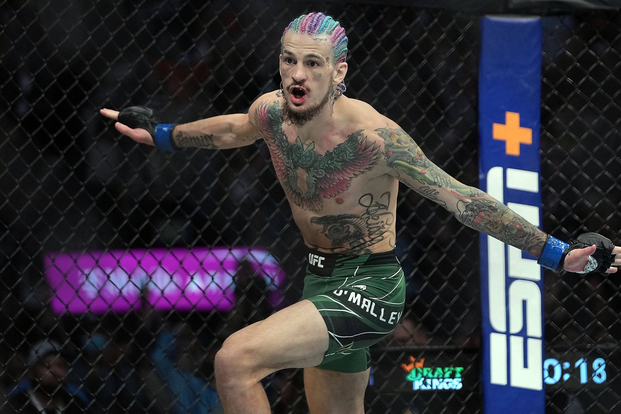 Sean O'Malley reacts following his TKO victory against Raulian Paiva during UFC 269 at T-Mobile Arena. Mandatory Credit: Stephen R. Sylvanie-USA TO...