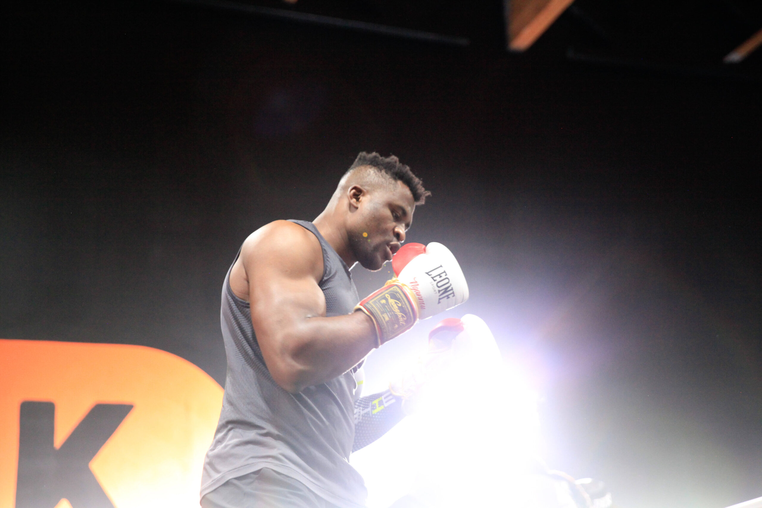 Francis Ngannou up in lights