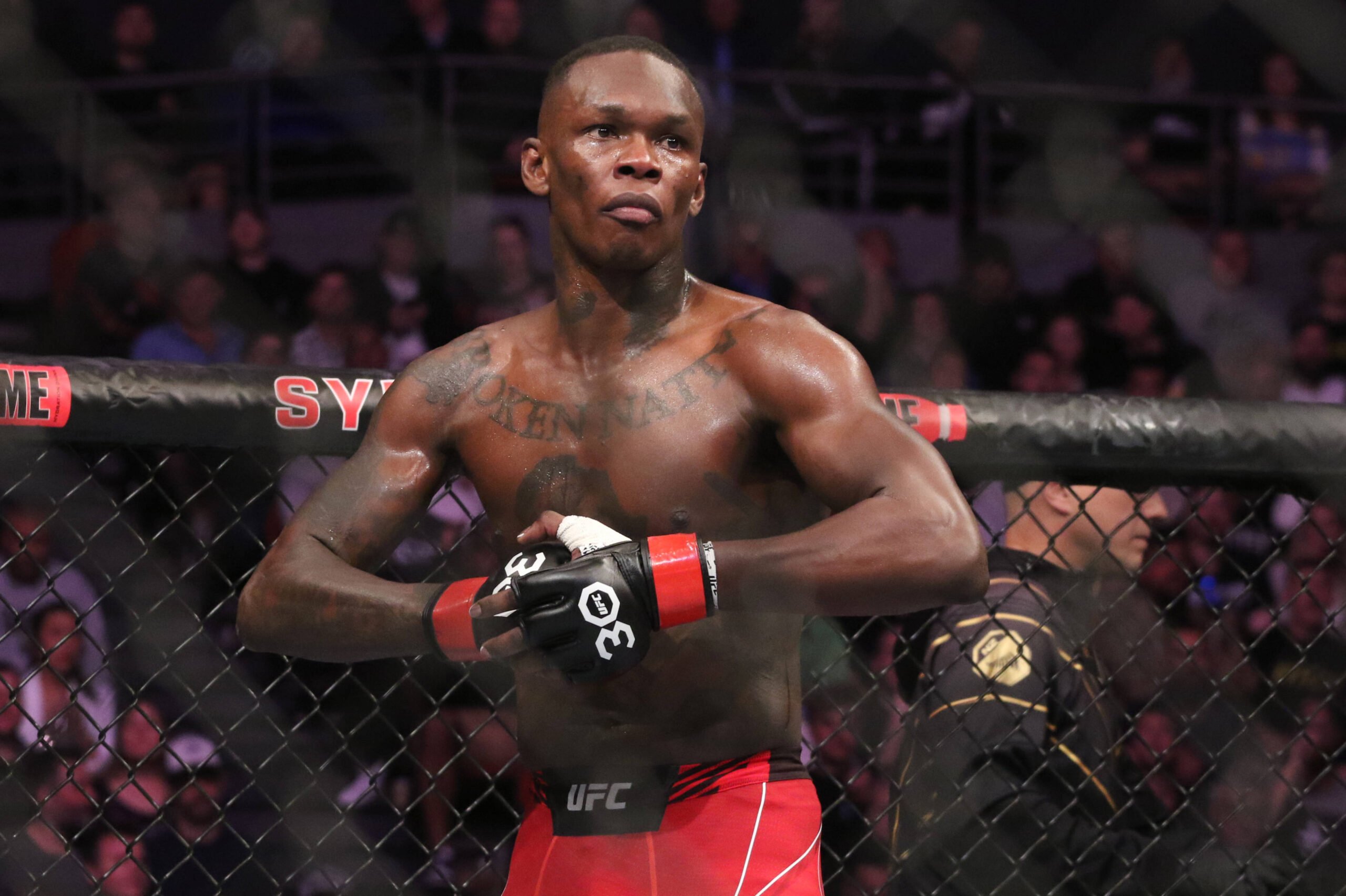 Israel Adesanya at UFC 293.