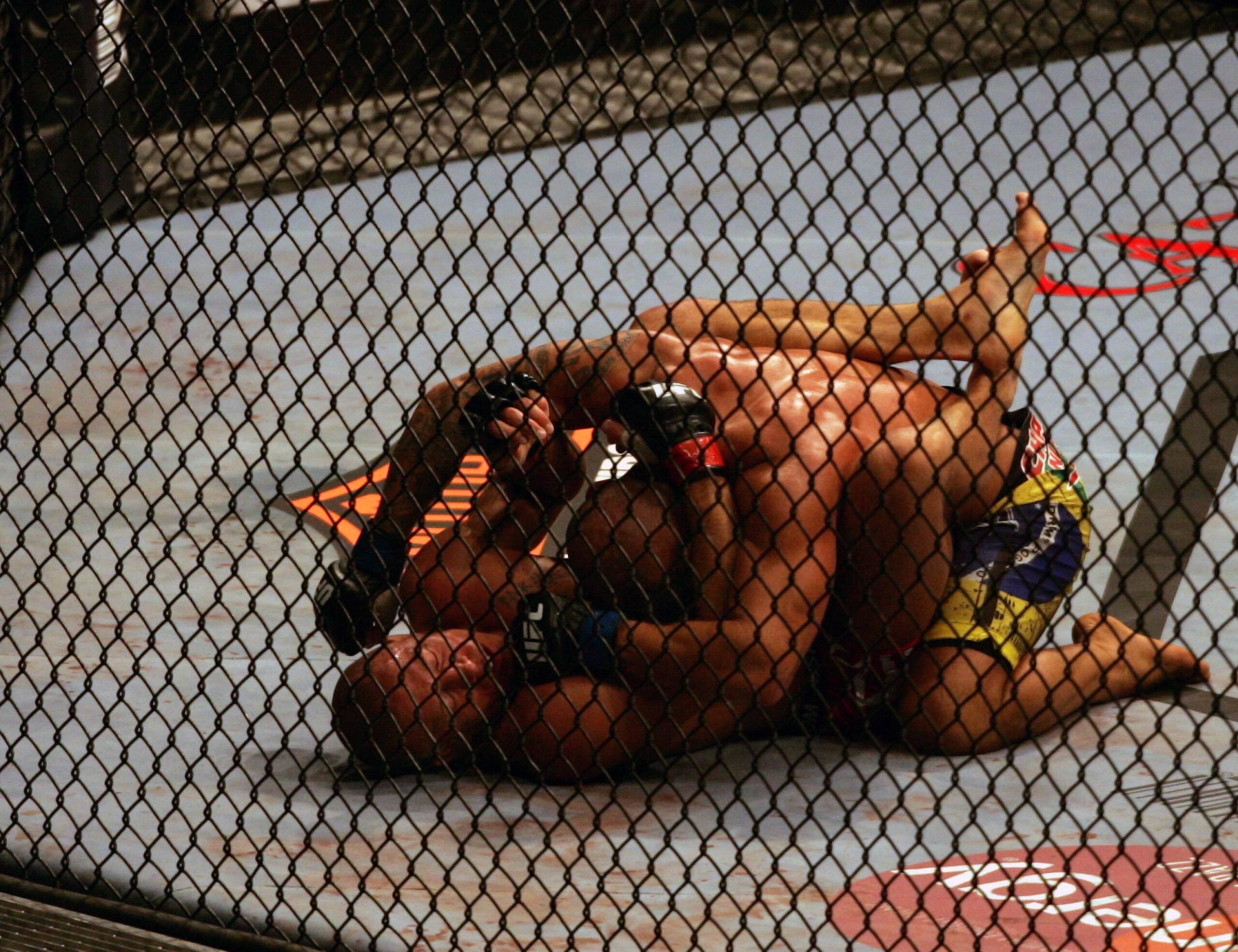 11 July 2009: Georges St-Pierre of Canada on bottom and Thiago Alves of Brazil exchange punches during their welterweight fight at the UFC 100 even...