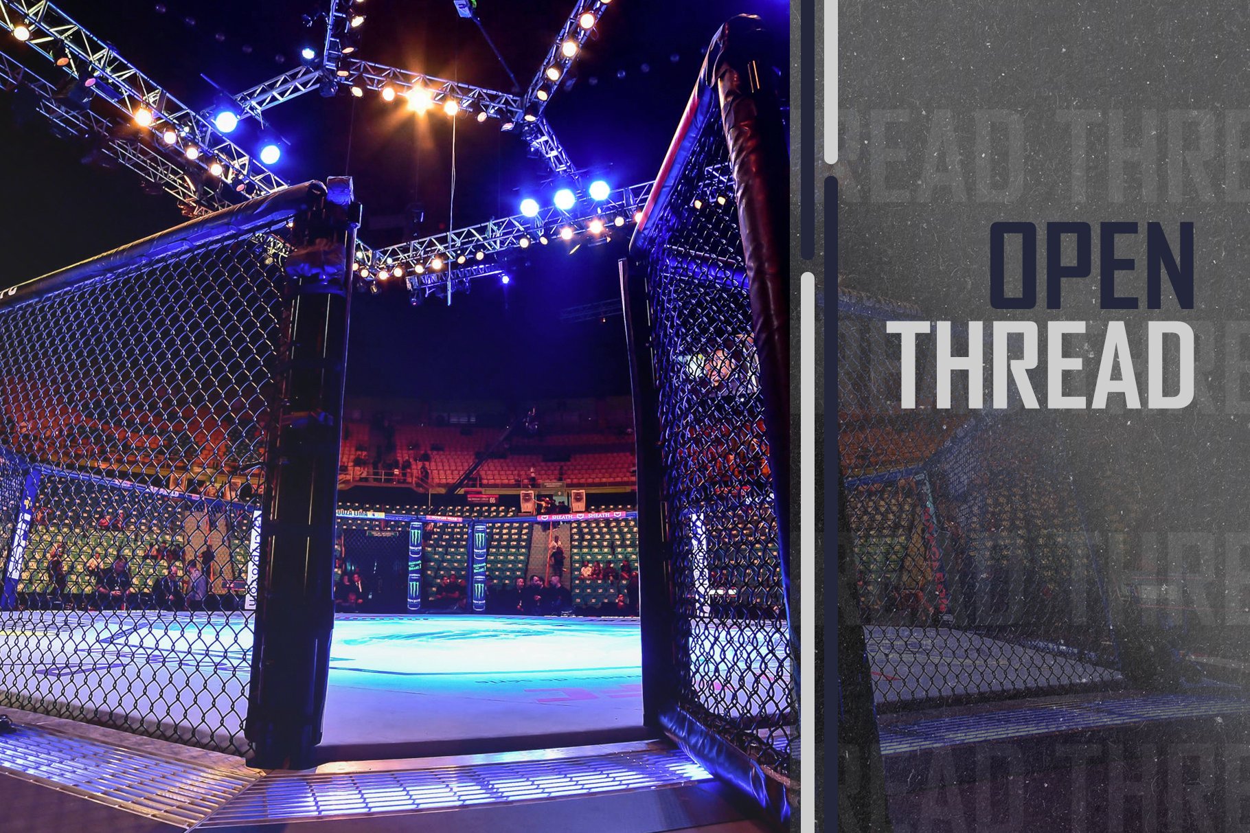 UFC octagon