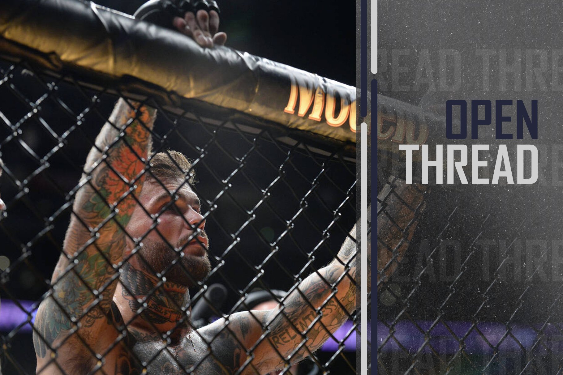 Cody Garbrandt | Gary A. Vasquez / USA TODAY Network