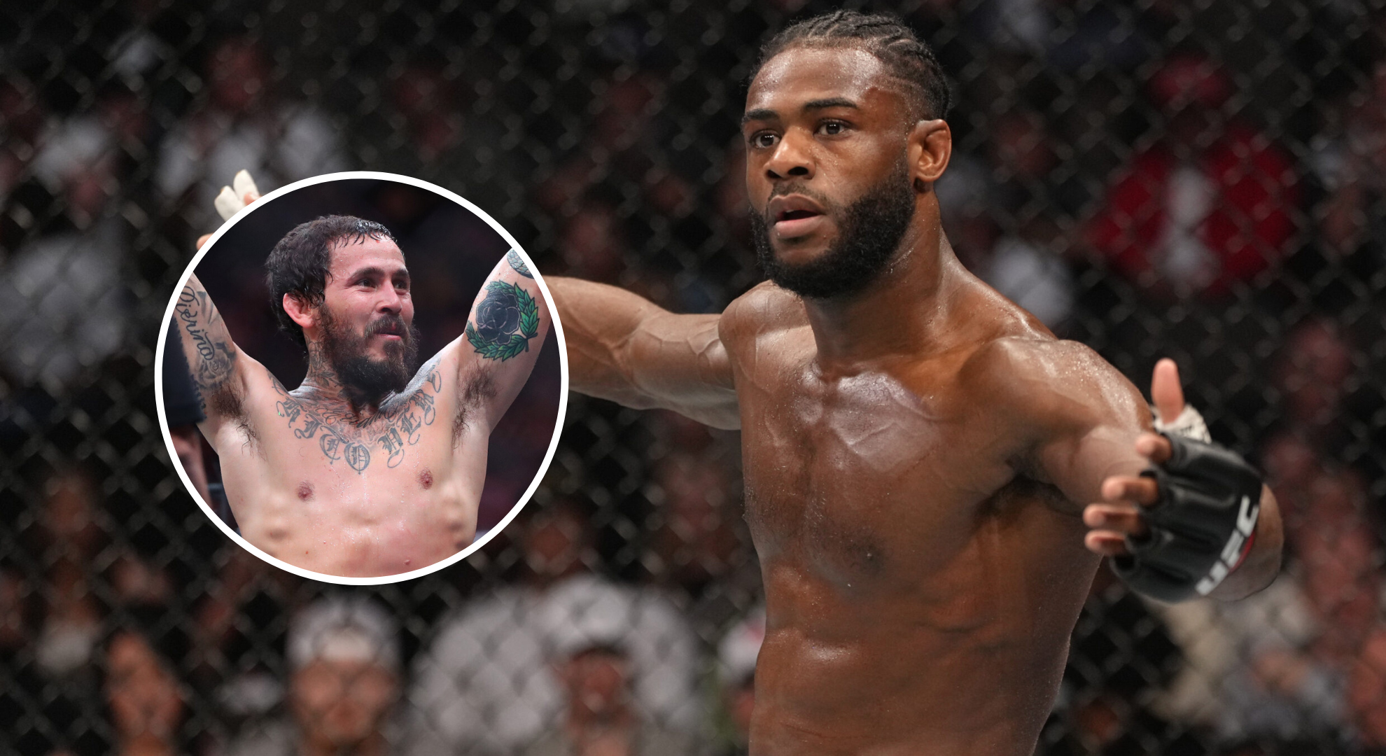 Split of Marlon Vera, Aljamain Sterling