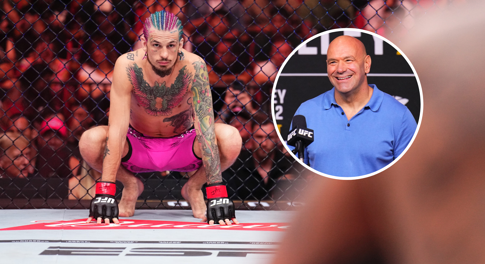 Pop out of Sean O'Malley and Dana White
