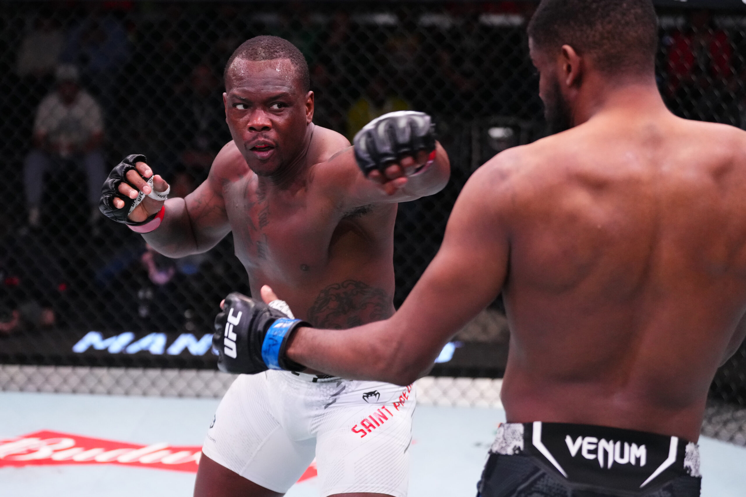 Photo by Jeff Bottari/Zuffa LLC via Getty Images