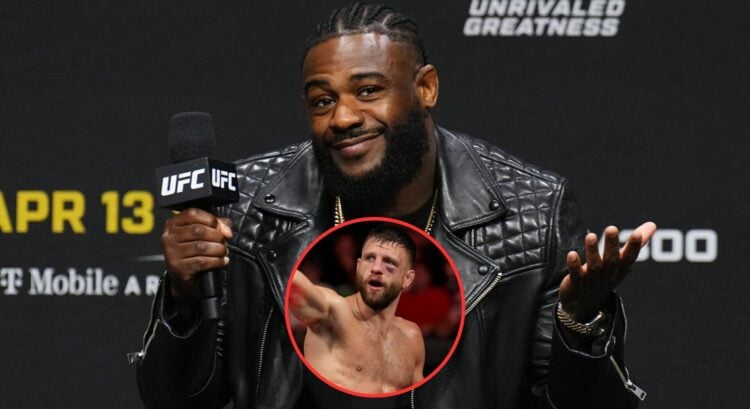 Pop out of Aljamain Sterling and Calvin Kattar