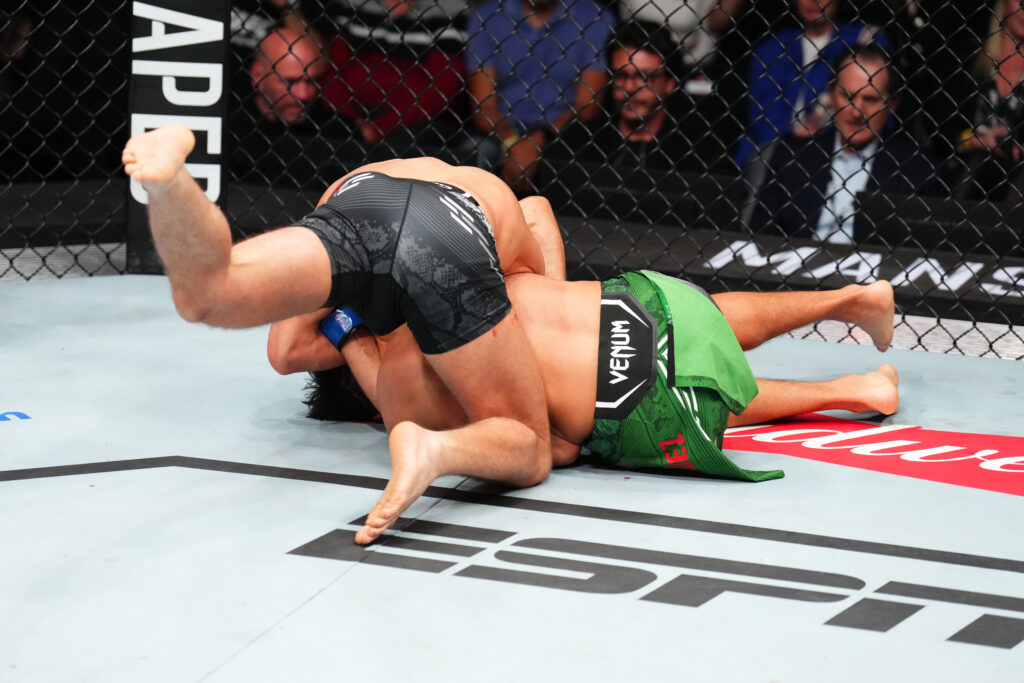UFC Fight Night: Rodriguez v Ortega