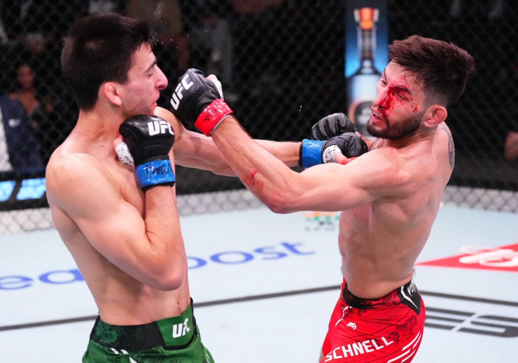 UFC Fight Night: Schnell v Erceg