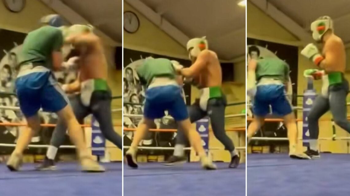 Composite image showing three slides of Conor McGregor punching a sparring partner in a boxing ring