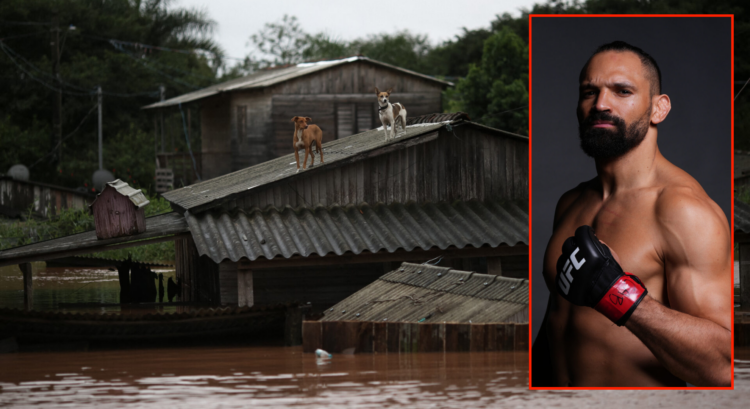 Pop out of Michel Pereira and an image of stranded dogs in the 2024 Brazil floods