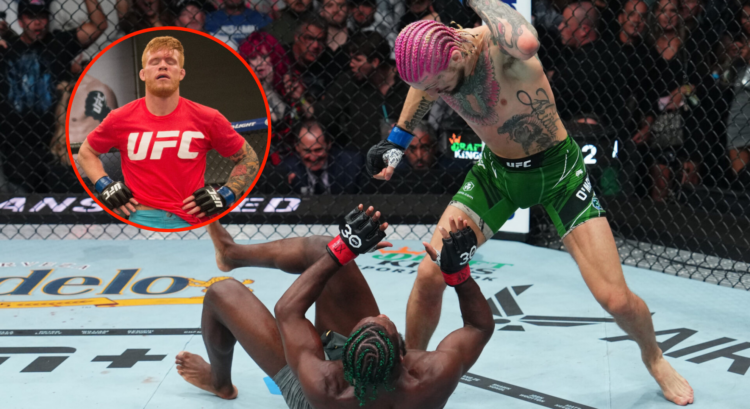 Pop out of Tim Welch, Aljamain Sterling and Sean O'Malley
