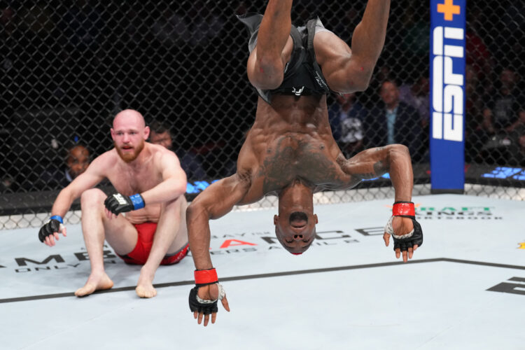 Photo by Josh Hedges/Zuffa LLC