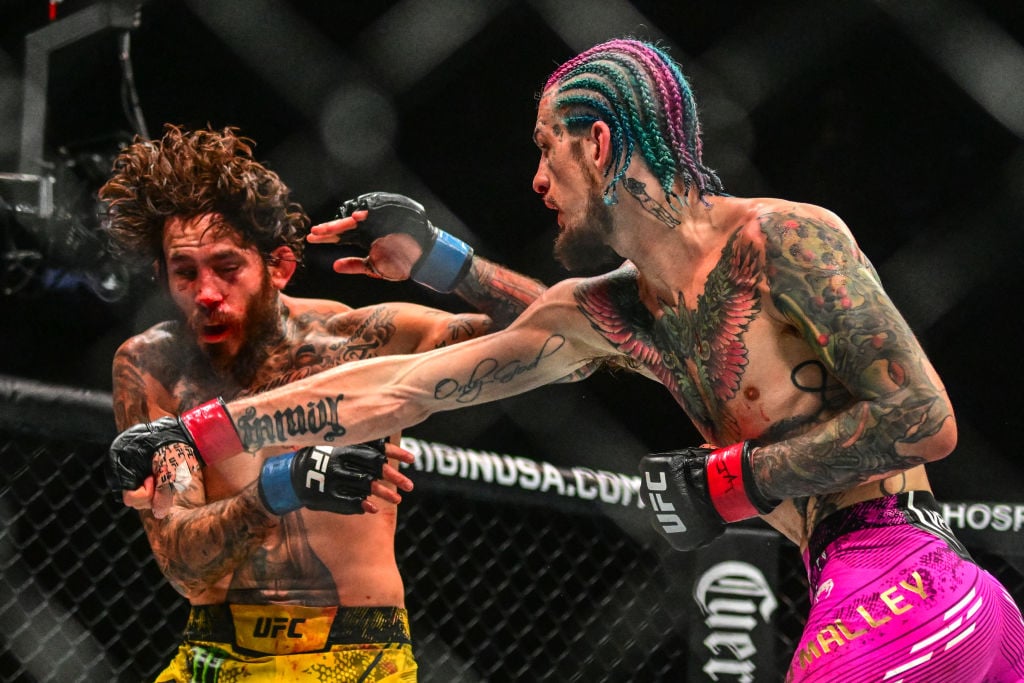 MMA-UFC-USA-O'MALLEY-VERA