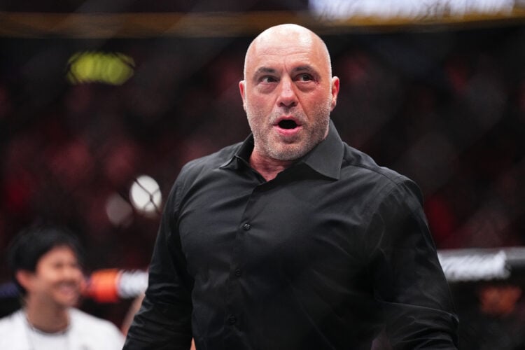 Photo by Chris Unger/Zuffa LLC via Getty Images