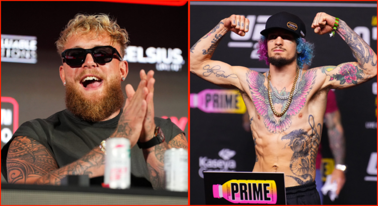 Side by side of Jake Paul and Sean O'Malley