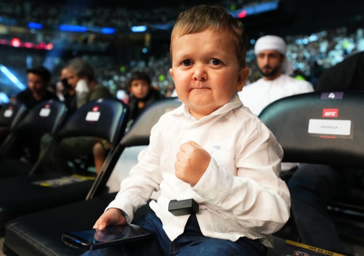 Photo by Chris Unger/Zuffa LLC