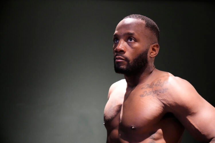 Photo by Mike Roach/Zuffa LLC via Getty Images