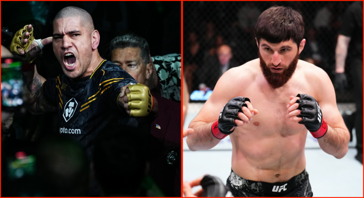 Composite image showing Alex Pereira (left) and Magomed Ankalaev (right)