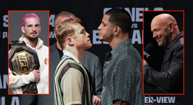 Pop out of Canelo vs Berlanga face off, Sean O'Malley at UFC 292 and Dana White on stage during the UFC 2024 seasonal press conference