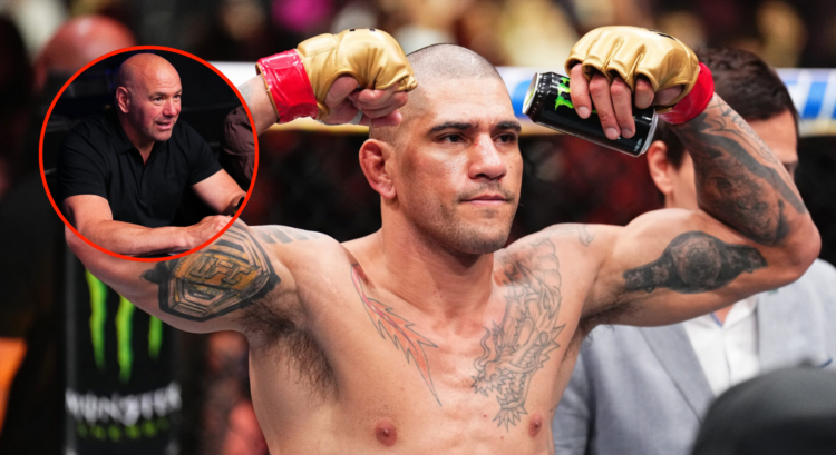 Pop out of Alex Pereira at UFC 303 and Dana White on DWCS