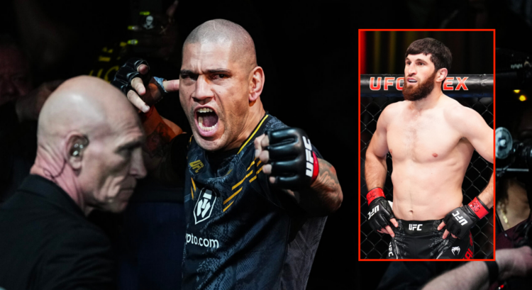 Pop out of Alex Pereira at UFC 300 and Magomed Ankalaev at UFC Fight Night: Ankalaev v Walker 2
