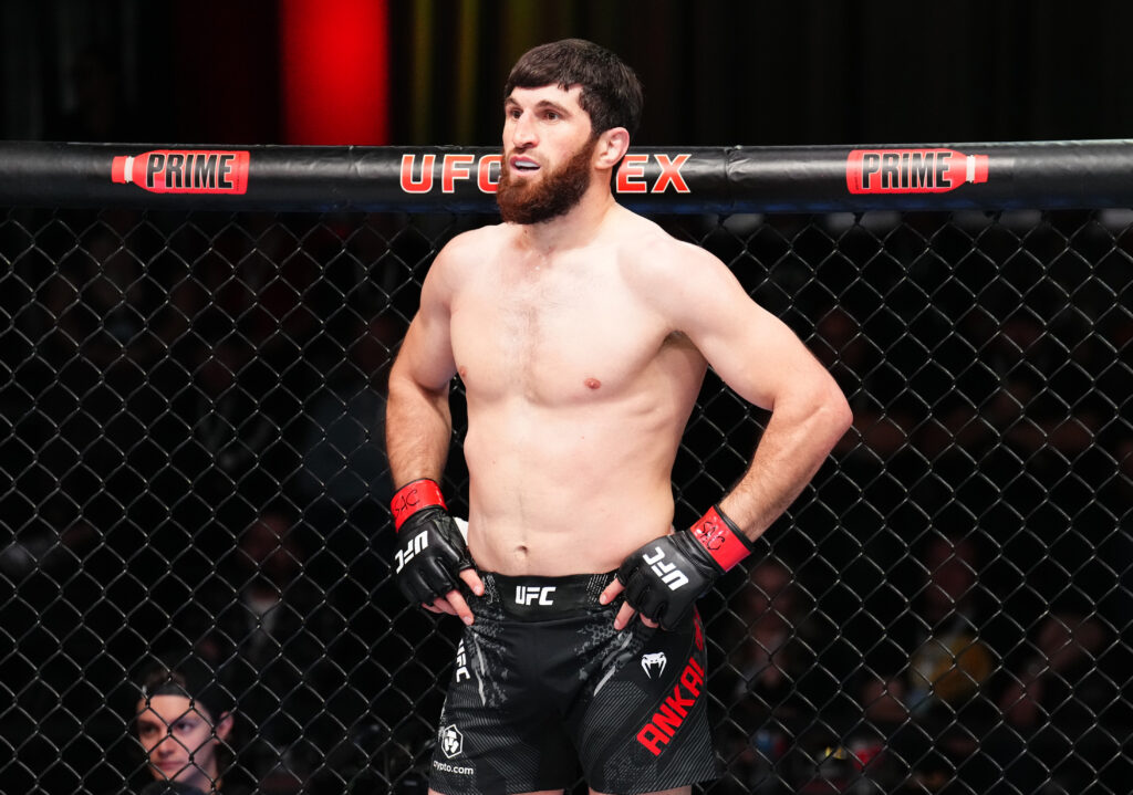 Magomed Ankalaev before his fight with Johnny Walker in January