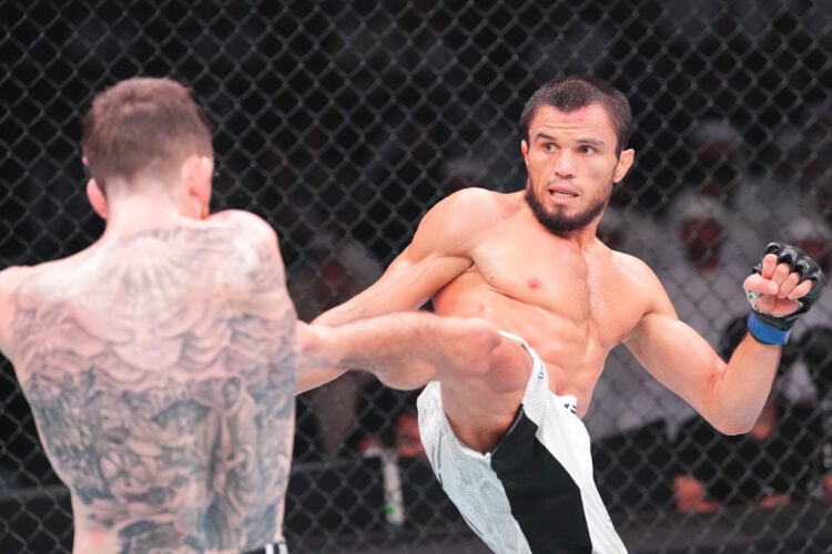 Photo by Josh Hedges/Zuffa LLC via Getty Images