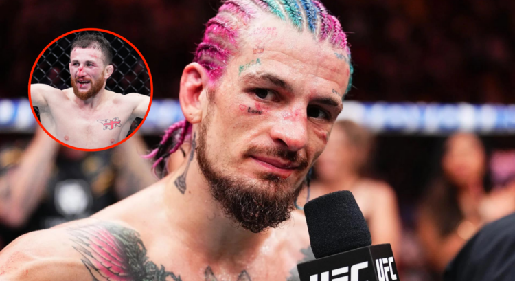 Pop out of Sean O'Malley at UFC 299 and Merab Dvalisvhili after beating PetrYan