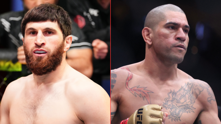 Magomed Ankalaev and Alex Pereira