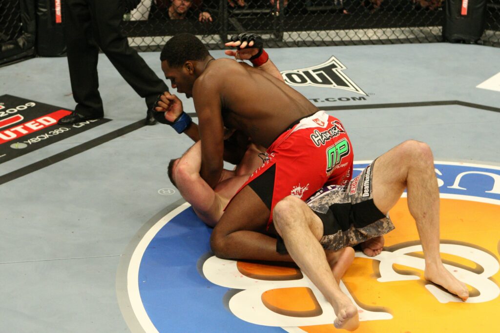 The Ultimate Fighter 10 Finale