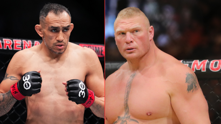 Tony Ferguson and Brock Lesnar