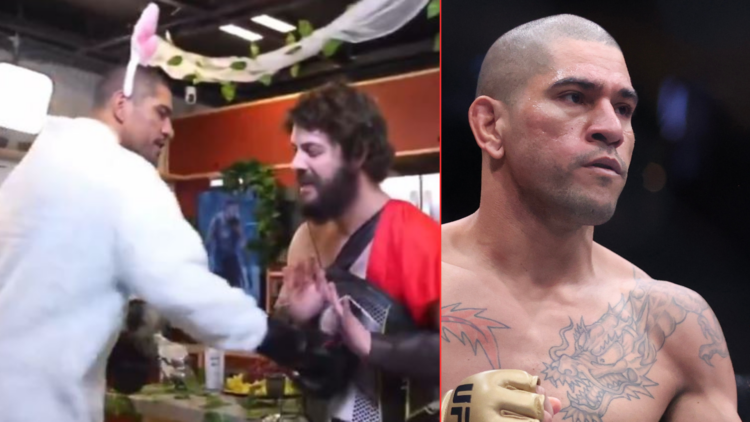 Alex Pereira dressed as a bunny and Alex Pereira fighting