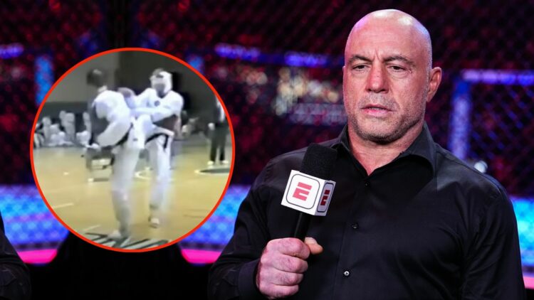 Joe Rogan. Inset, screenshot of Joe Rogan's spinning kick.