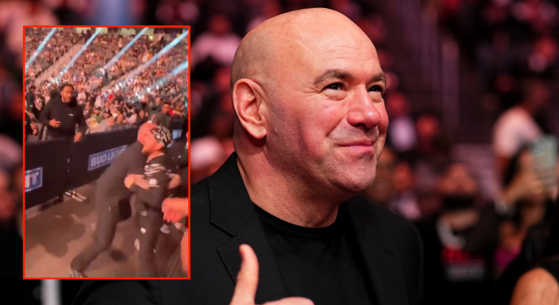 Dana White (right) during UFC 310, and Merab Dvalishvili (left) involved in a fan altercation at UFC 310