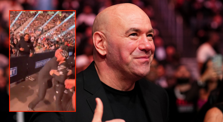 Dana White (right) during UFC 310, and Merab Dvalishvili (left) involved in a fan altercation at UFC 310