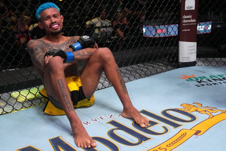 Photo by Al Powers/Zuffa LLC via Getty Images
