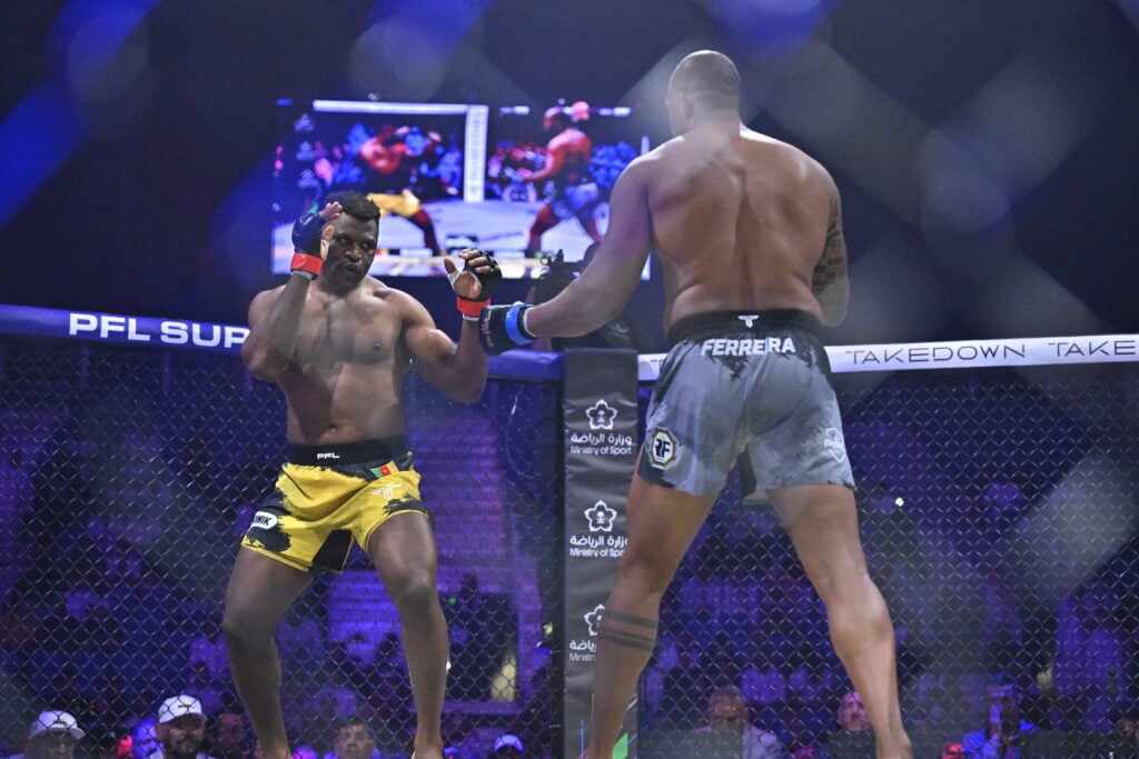 Professional Fighters League MENA