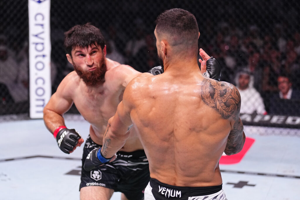UFC 308: Ankalaev v Rakic