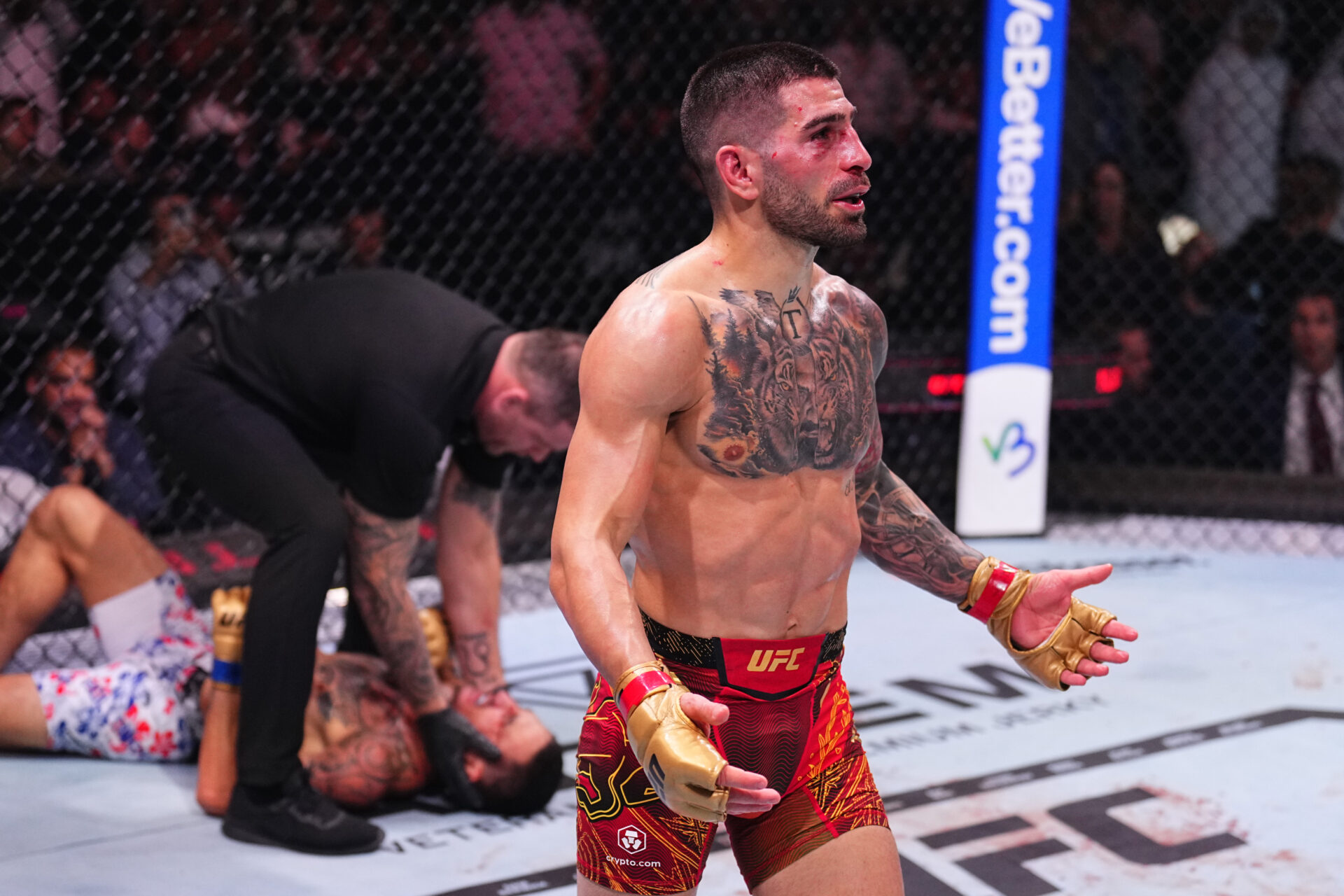 Photo by Chris Unger/Zuffa LLC