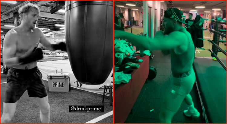 Logan Paul and Conor McGregor training