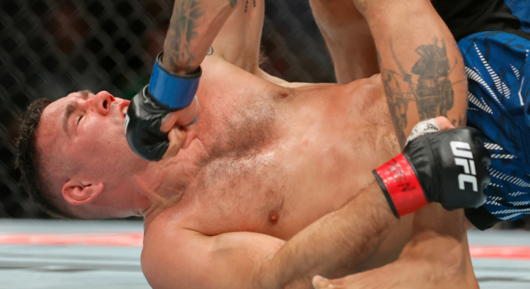 Chris Weidman, Eryk Anders, UFC 310